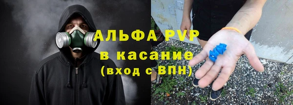 хмурый Аркадак