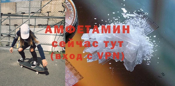 хмурый Аркадак