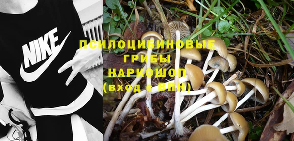 первитин Арсеньев