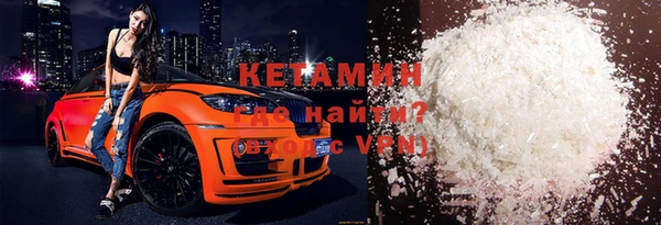 хмурый Аркадак