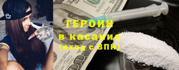 хмурый Аркадак