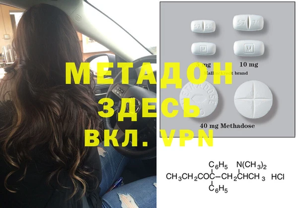 хмурый Аркадак