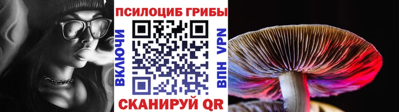 Галлюциногенные грибы Psilocybe  Калининск 